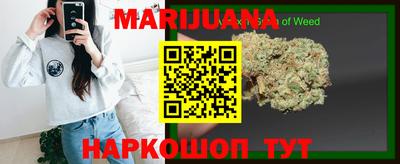 стафф Моздок