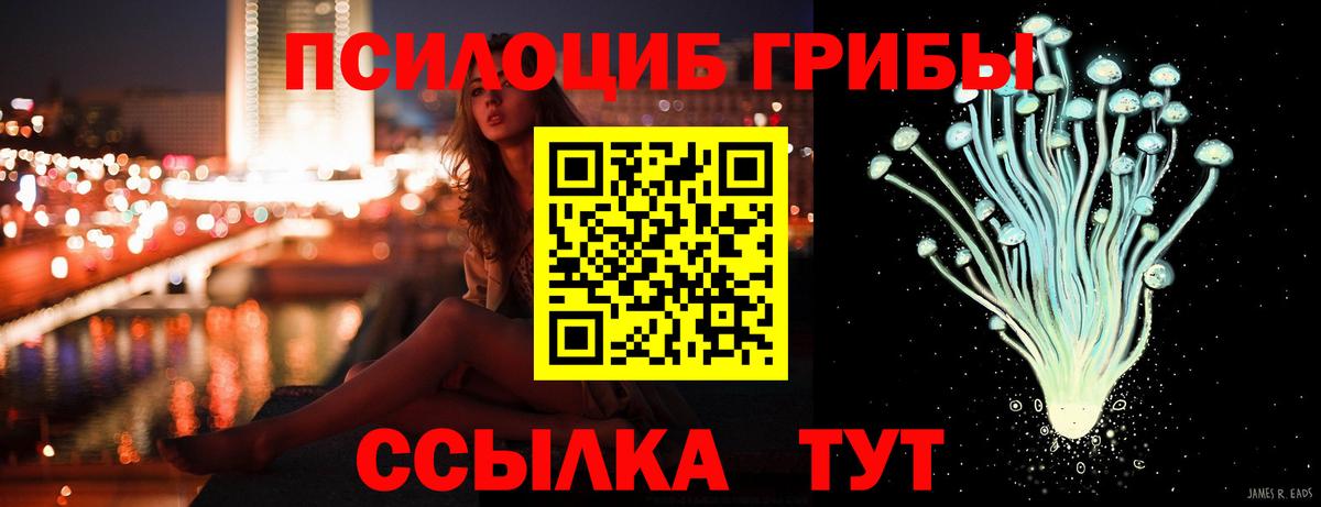 Псилоцибиновые грибы Cubensis Горячий Ключ